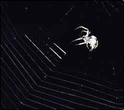 �����˿����淨��ȫ��Ƶ���㶫��ί��ǣ���������ý�尵���ع����������...